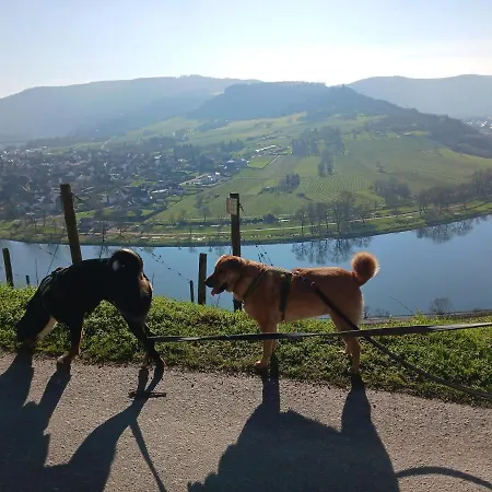 Gersch * Traben-Trarbach