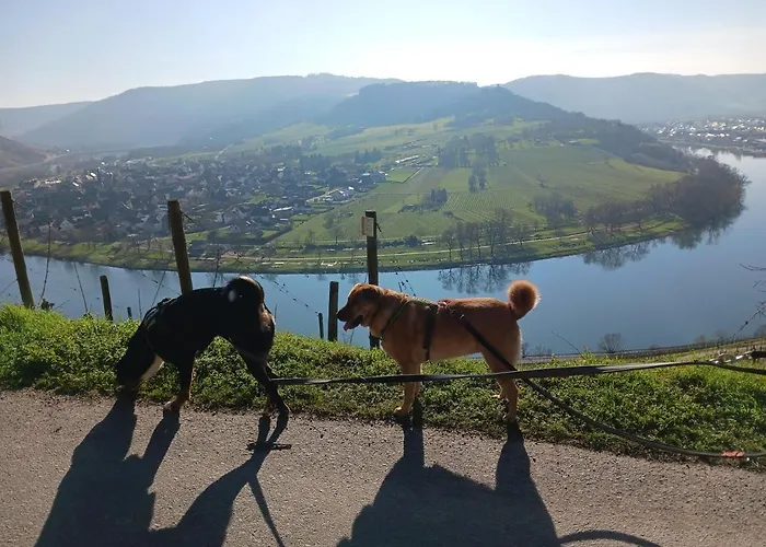 Gersch * トラーベン・トラールバッハ